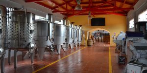 Industry Watch: New Zealand’s rapidly growing wine industry